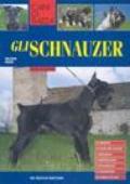 Schnauzer