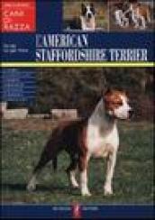 L'American Staffordshire Terrier
