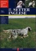 Il setter inglese. Guida illustrata