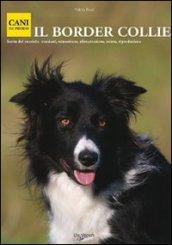 Il border collie