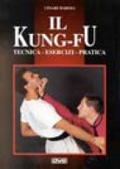 Il kung fu