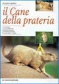 Il cane della prateria