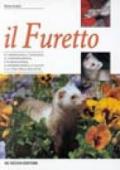 Il furetto