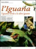 L'iguana. L'iguana verde e le altre iguane