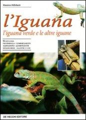 L'iguana. L'iguana verde e le altre iguane