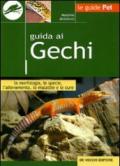 Guida ai gechi