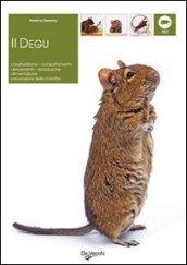 Degu