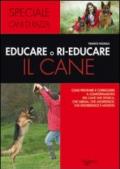 Educare o rieducare il cane