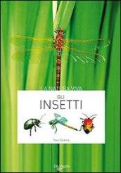 Gli insetti