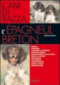 L'epagneul breton. Cani di razza