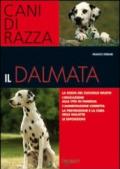 Il dalmata