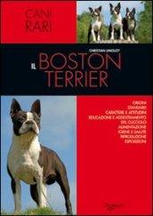 Il Boston terrier