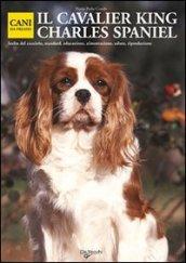 Il cavalier King Charles spaniel