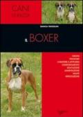 Il boxer