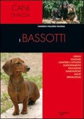 Bassotti