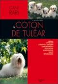 Il coton de tulear