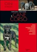 Il cane corso