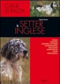 Il setter inglese