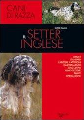 Il setter inglese