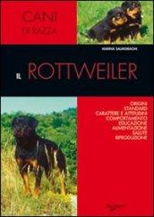 Rottweiler