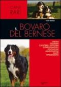 Bovaro bernese