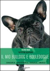 Il mio bulldog e bouledogue