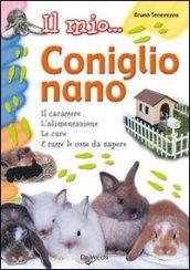 Il mio... coniglio nano