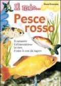 Il mio... pesce rosso