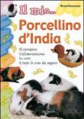 Il mio... porcellino d'India