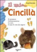 Il mio... cincillà