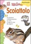 Il mio... scoiattolo