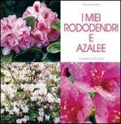 I miei rododendri e azalee