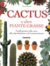 Cactus e altre piante grasse