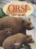 Orsi