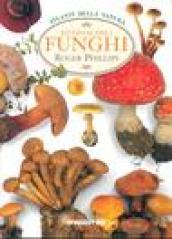 Riconoscere i funghi