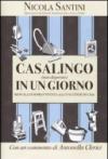 Casalingo (non disperato) in un giorno: Manuale di sopravvivenza alle faccende di casa