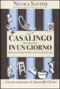 Casalingo (non disperato) in un giorno: Manuale di sopravvivenza alle faccende di casa