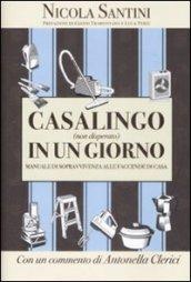 Casalingo (non disperato) in un giorno: Manuale di sopravvivenza alle faccende di casa