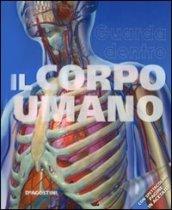 Guarda dentro il corpo umano