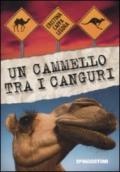 Un cammello tra i canguri