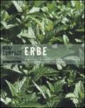 Erbe