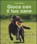 Gioca con il tuo cane