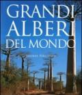 Grandi Alberi Del Mondo