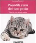 Prenditi Cura Del Tuo Gatto