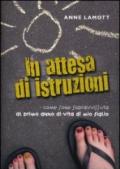 In attesa di istruzioni. Come sono sopravvissuta al primo anno di vita di mio figlio