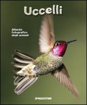 Uccelli