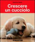 Crescere un cucciolo