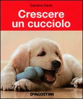 Crescere un cucciolo