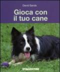 Gioca con il tuo cane