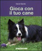 Gioca con il tuo cane